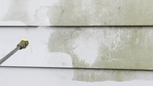 493082890342809234